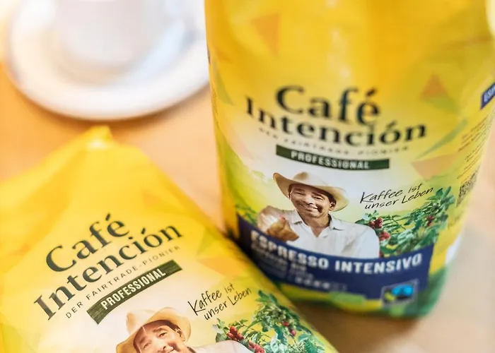 莱赫斯霍夫加尼酒店 酒店 施韦特